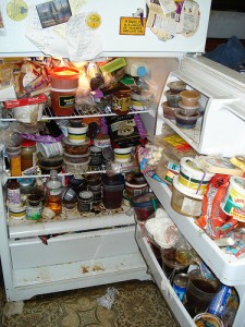 This is NOT my fridge. But it could have been...